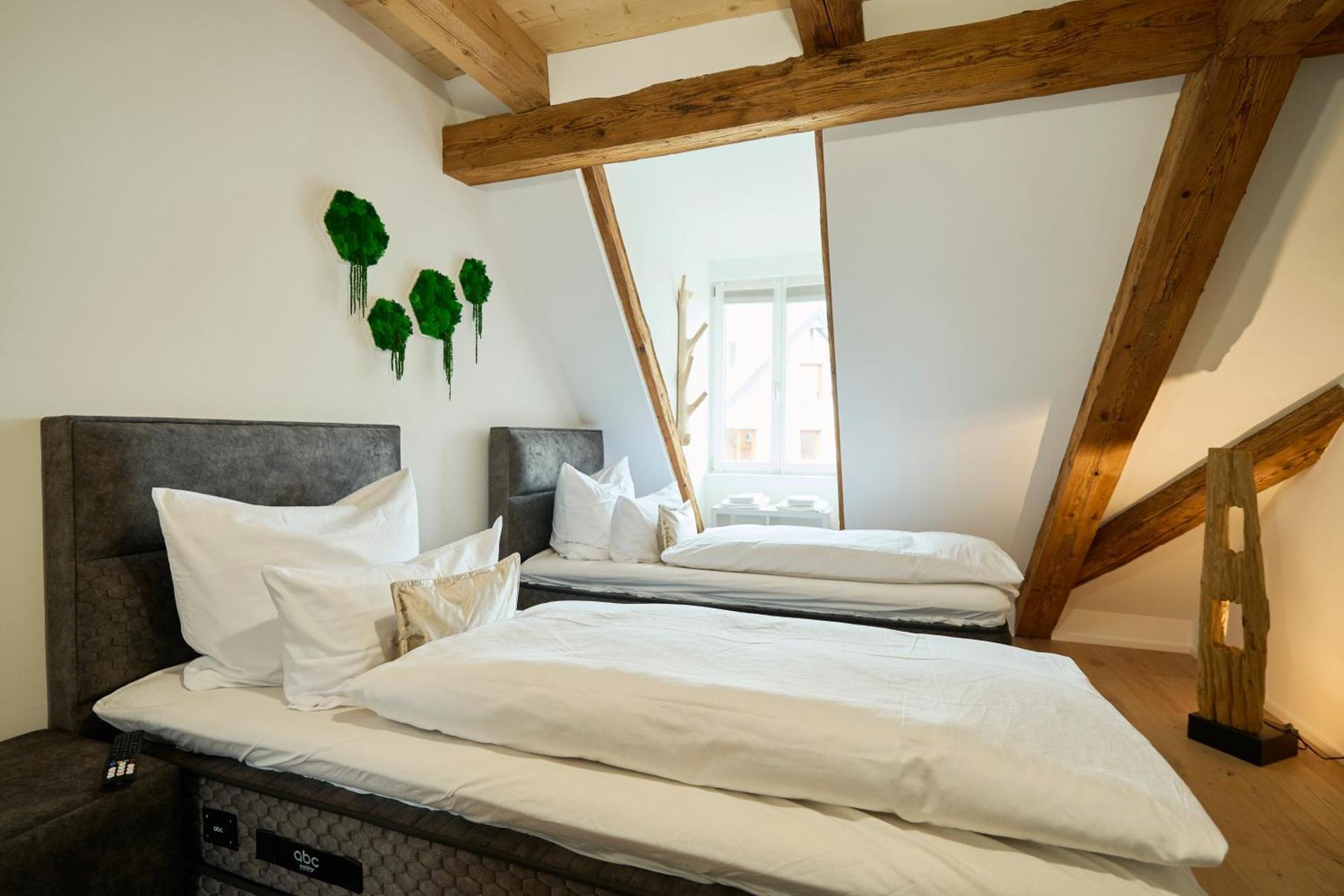 Wood World Luxury - Massage - Bergblick - Tranpolin- Parken Apartman Markdorf Kültér fotó