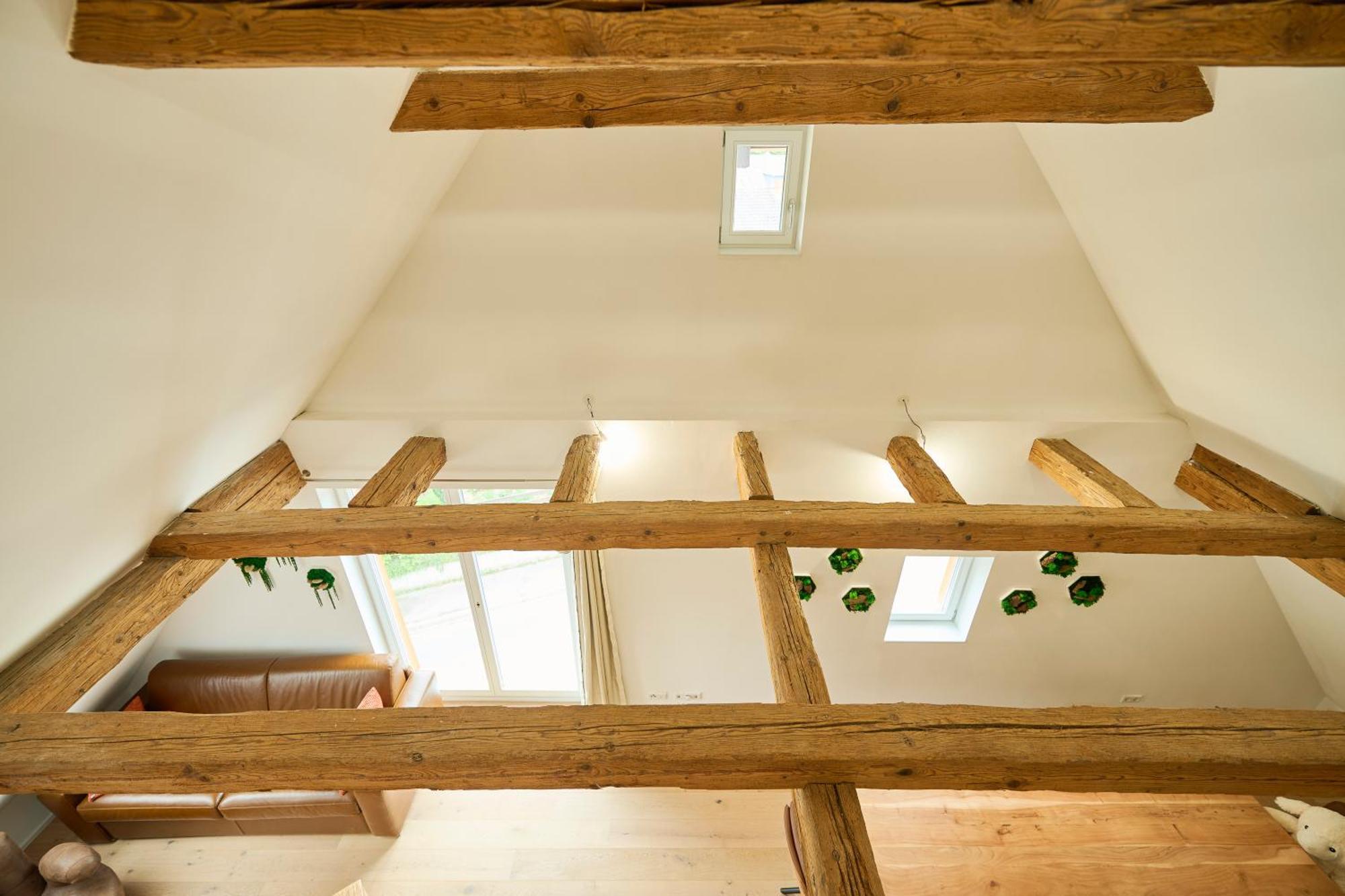 Wood World Luxury - Massage - Bergblick - Tranpolin- Parken Apartman Markdorf Kültér fotó