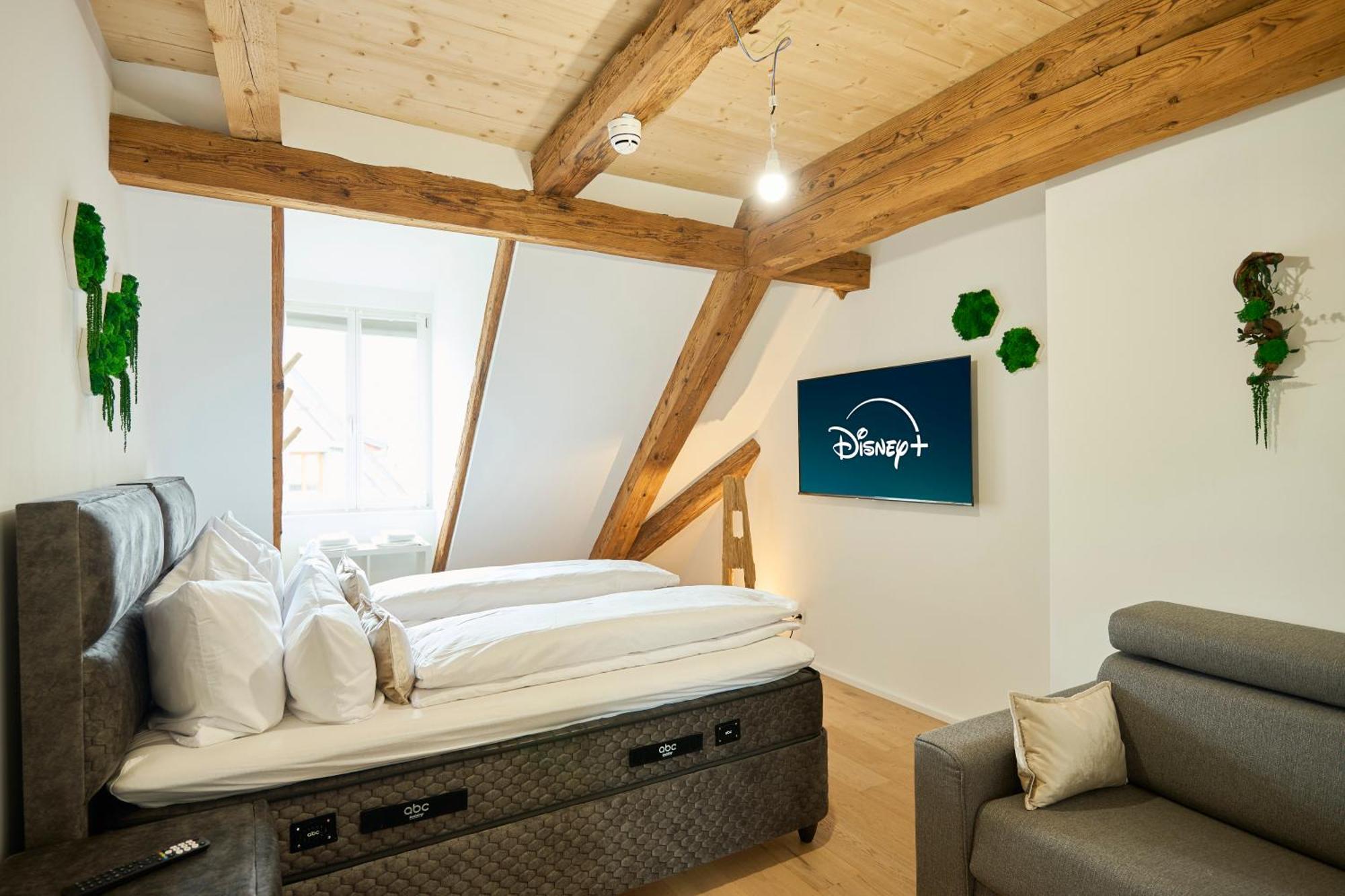 Wood World Luxury - Massage - Bergblick - Tranpolin- Parken Apartman Markdorf Kültér fotó